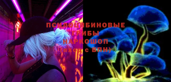 молекула духа Зерноград