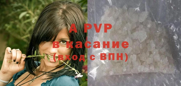 молекула духа Зерноград