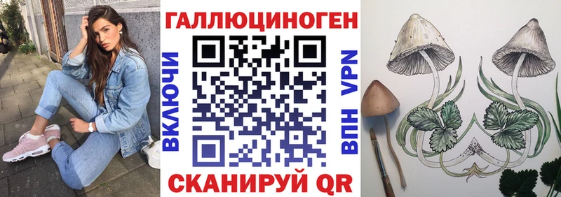 Псилоцибиновые грибы Psilocybe  Каргополь 